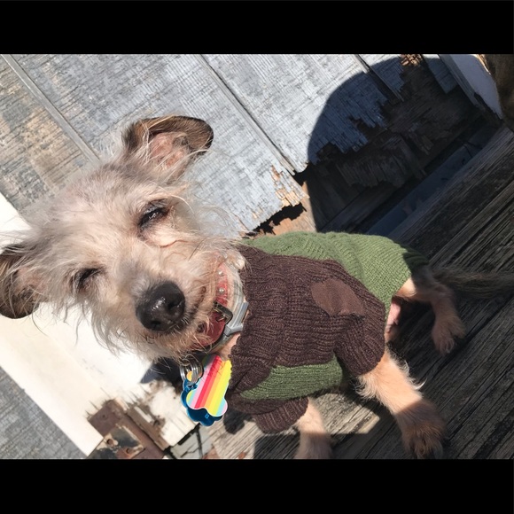 New Kid in Town - Picture 9 of 15